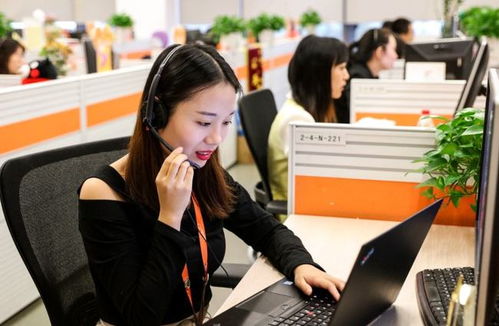 6類適合“老實人”的工作 在信息咨詢服務領域，找到人際關系簡單、工資高又能做長久的職業港灣